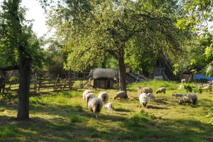 Prijzen beschikbaarheid